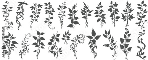 silhouettes of detailed plants isolated on white background