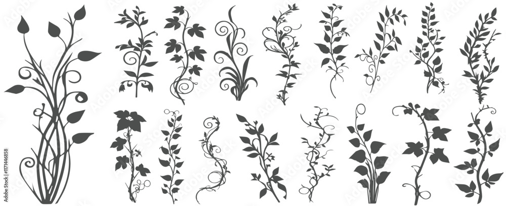 Fototapeta premium Jungle creeper silhouettes. Tropical forest lianas, rainforest hanging sprouts. Climbing liana vines flat set vector