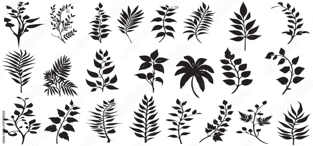 Set of vector floral design elements. Decoration elements for invitation, wedding cards, valentines day, wall art, greeting cards. Hand draw vector illustration Set of vector floral design elements. Decoration elements for invitation, wedding cards, valentines day, wall art, greeting cards. Hand draw vector illustration