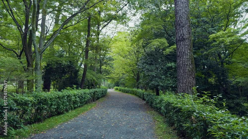 A peaceful garden pathway surrounded by lush green trees in Kyoto, Japan A peaceful garden pathway surrounded by lush green trees in Kyoto, Japan