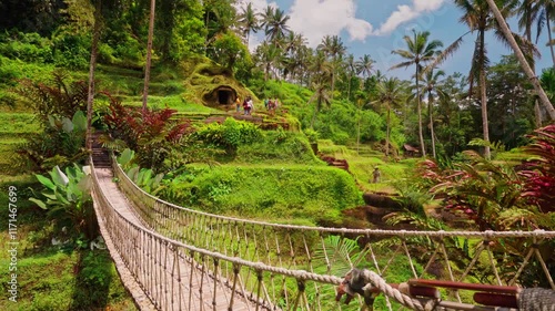 Famous Bali travel destination Tegallalang rice terrace in Alas Harum Bali, Indonesia 4K photo