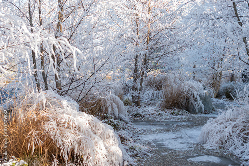 Frosty scenery in a small park in Schaan in Liechtenstein photo