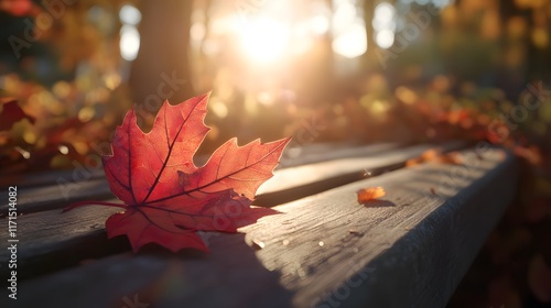 A close-up of a vibrant red maple leaf on a wooden