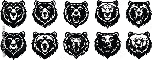 Bear head logo design. Grizzly icon vector illustration graphic.