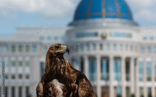 A young golden eagle against the background of the residence of the President of Kazakhstan Akorda in the city of Astana photo