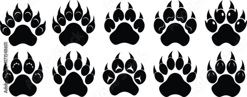 Bear paw print with claws vector graphic illustration design