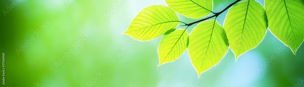 Fresh green leaves with a soft, blurred background create a calming image perfect for environmental topics, wellness promotions, or nature-related projects, Fresh green leaves with a soft, blurred background create a calming image perfect for environmental topics, wellness promotions, or nature-related projects,
