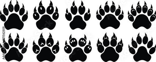 Bear paw print with claws vector graphic illustration design