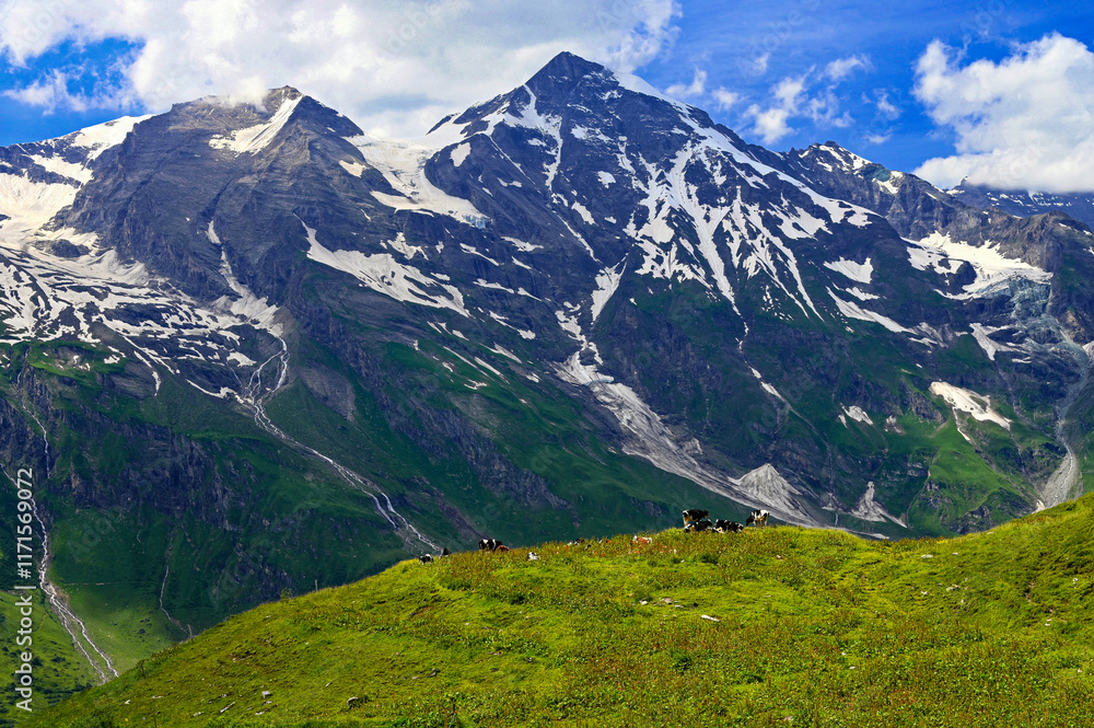 Grossglockner high mountain road in Austria. reen forests. Landscape with nature in the Alps. Großglockner is the highest mountain in Austria Grossglockner high mountain road in Austria. reen forests. Landscape with nature in the Alps. Großglockner is the highest mountain in Austria