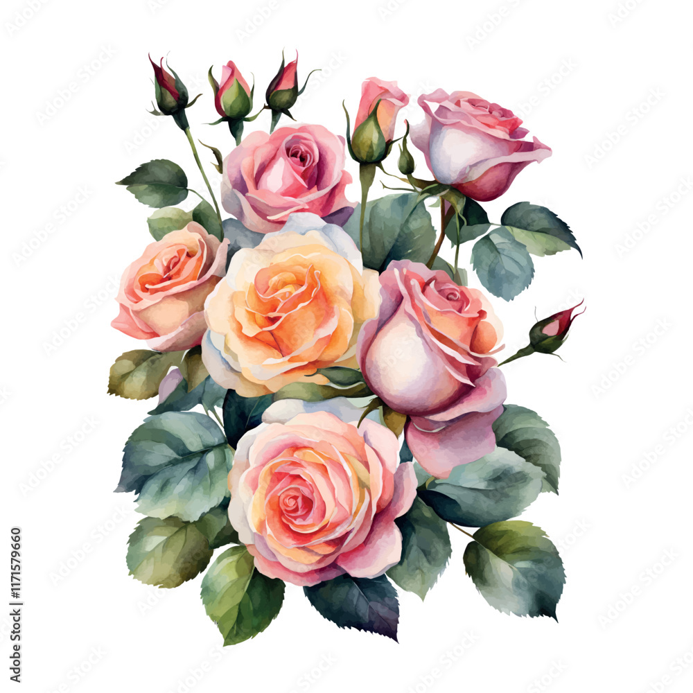Naklejka premium Watercolor bouquet roses flowers, symbol of love, wedding, purity, vector illustration