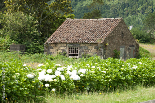 old house in the woods