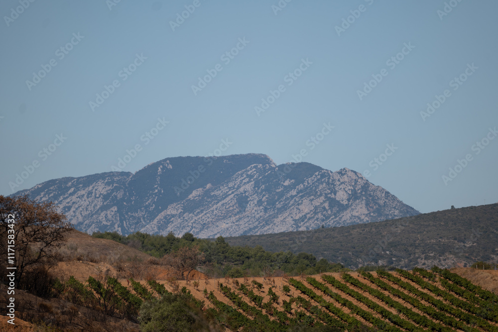 Naklejka premium landscape in the mountains