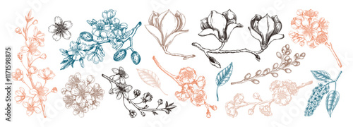 Spring blooming branches sketches. Hand-drawn botanical illustration. Trendy brown floral design. NOT AI genereted