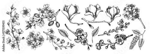Spring blooming branches sketches. Hand-drawn botanical illustration. Floral design. NOT AI genereted