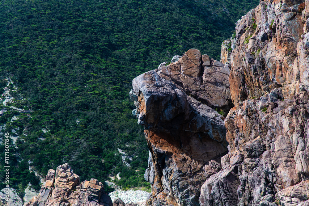 rocks in the cliff at the seaside