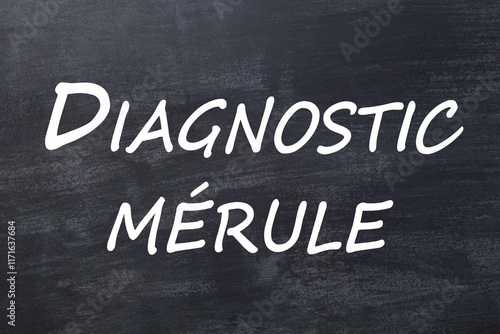 Diagnostic mérule tableau noir