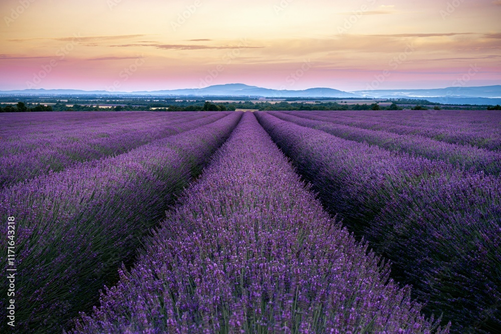 Obraz premium nature