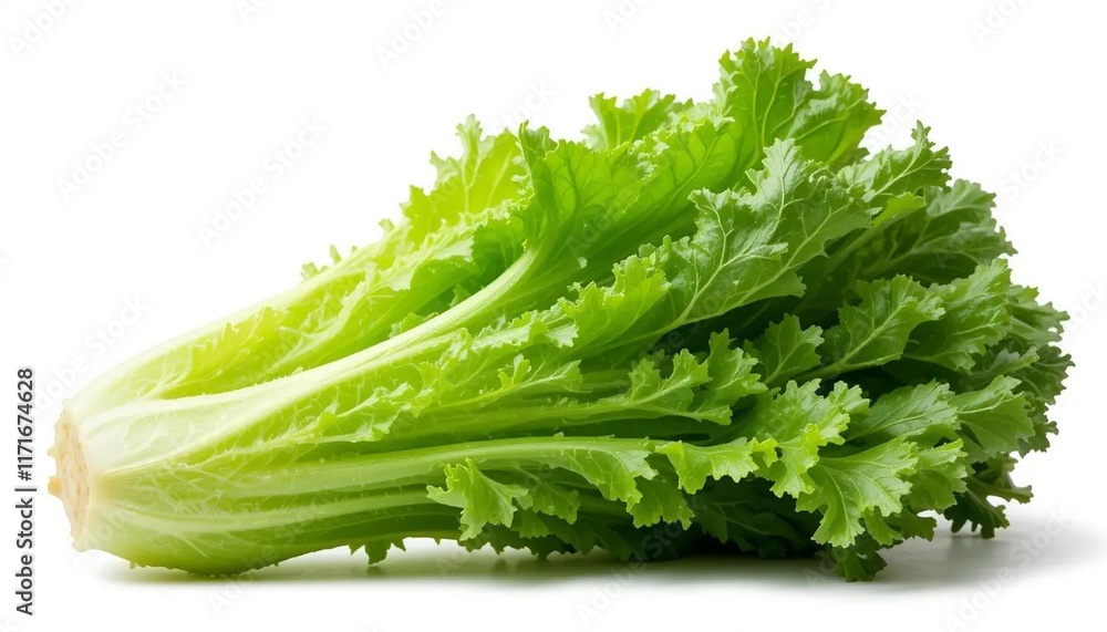 Fresh Green Lettuce, Crisp and Vibrant, Isolated on White Background Fresh Green Lettuce, Crisp and Vibrant, Isolated on White Background