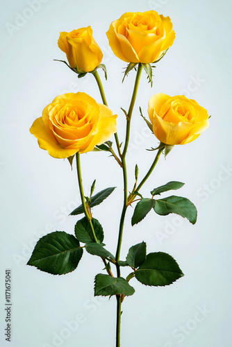 A bunch of yellow roses with green leaves on a stem