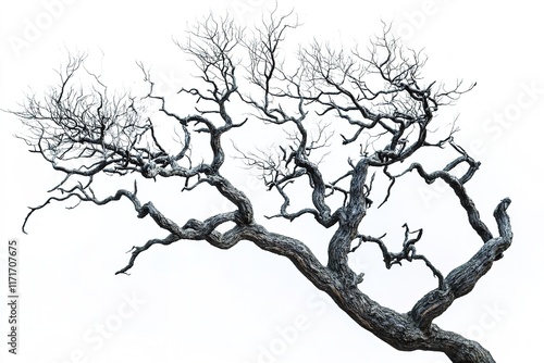 Twisted branches reach towards bright background, showcasing int photo