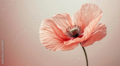Beautiful pink flower in soft light showcasing delicate petals and intricate ...