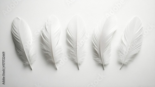 Delicate white feathers arranged gracefully on a light background