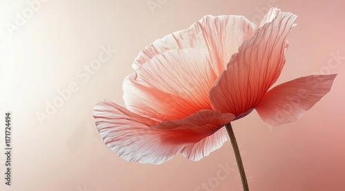 Beautiful pink flower in soft light showcasing delicate petals and intricate ...