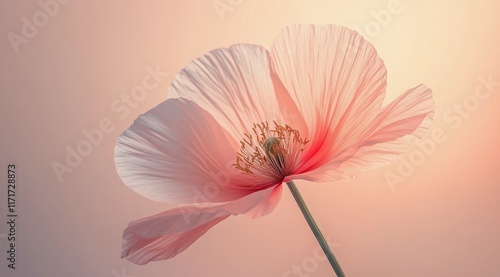 Beautiful pink flower in soft light showcasing delicate petals and intricate ...