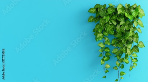 A jungle-themed biophilic concept featuring tropical leaves on a blue background with space for text, including Cerpegia woodii and Monstera deliciosa plants. photo