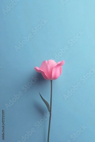 Elegant pink tulip placed on soft pink background, showcasing delicate petals...