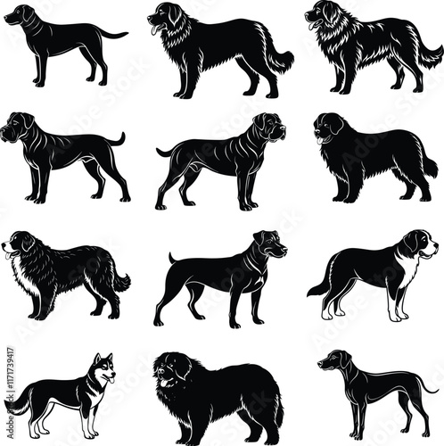 Set of dog. Active pet animal, cute puppy and dogs in different poses, running, jumping and sleeping character vector illustration set. Active and playful domestic pets spending leisure time