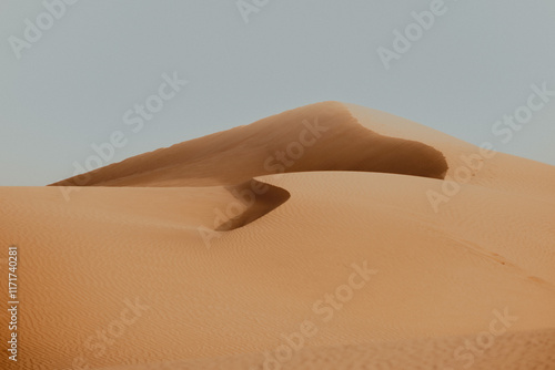 Golden Sand Dunes of Maspalomas