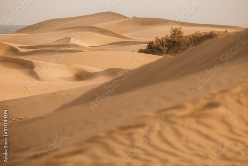 Golden Sand Dunes of Maspalomas