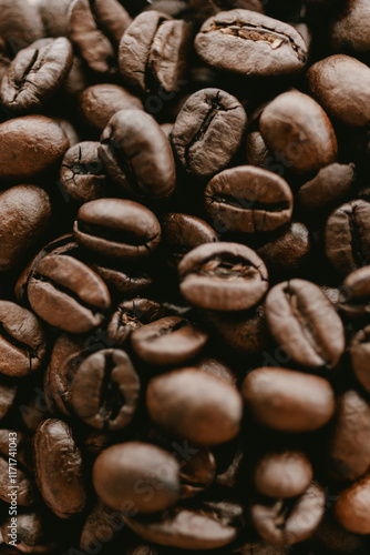 Close-Up of Coffee Beans in Detail