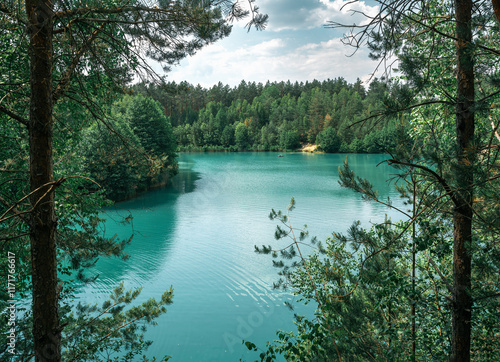 lake in the forest