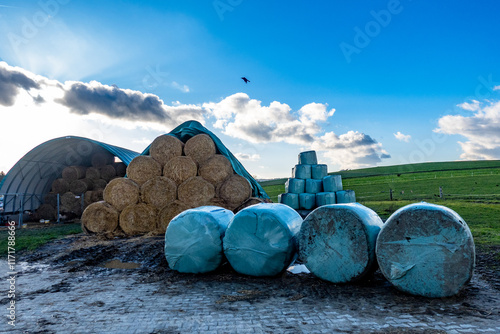 Stroh und Silageballen Winterfutter photo