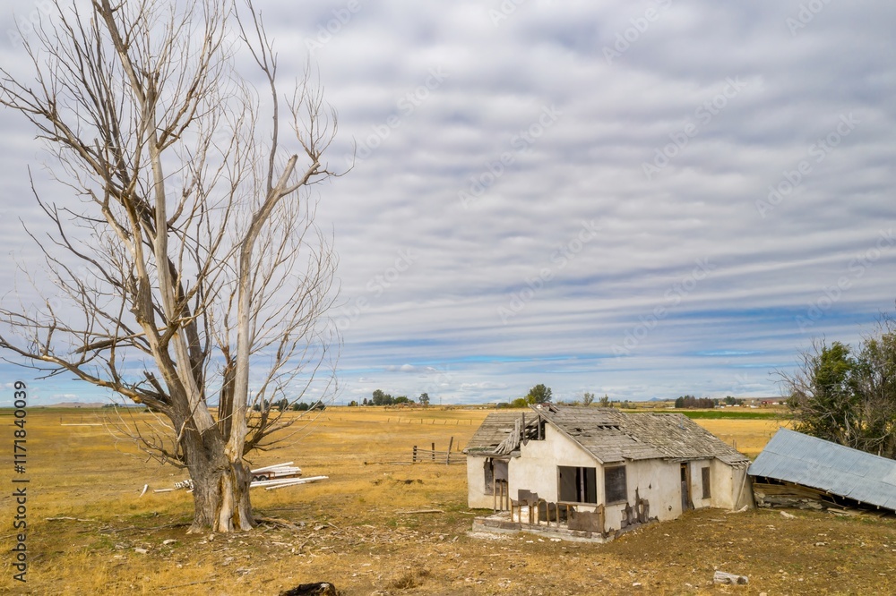 Obraz premium Abandoned farmhouse in a rural field. Deteriorating structure, dry, barren landscape. Nature reclaiming the land. , Richfield, Idaho, USA.