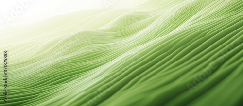 Lush green waves of undulating foliage in a serene natural background  Abstract organic pattern with fluid lines and curves creating a calming and contemporary design