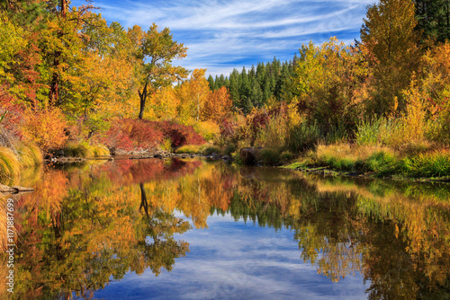 Calm Water On The Susan River photo