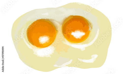 水彩で描いた目玉焼き（もしくは2個の生のたまご）のイラスト素材