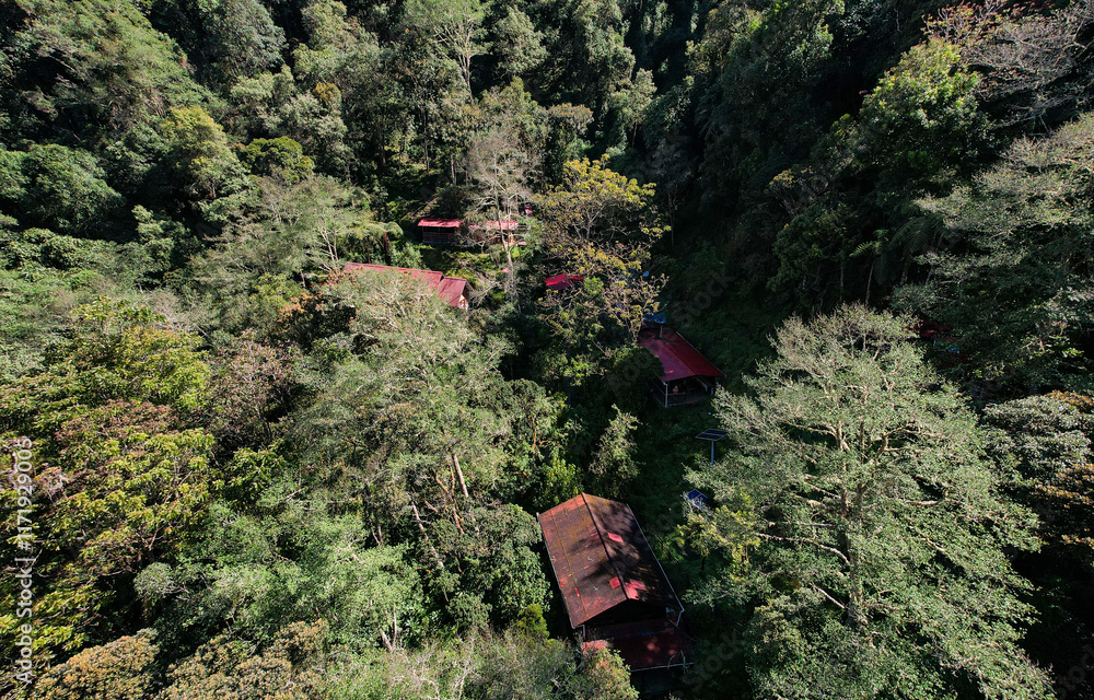 Aerial View of the Forest full of Trees and Camp of Small Houses in Salento, Colombia
