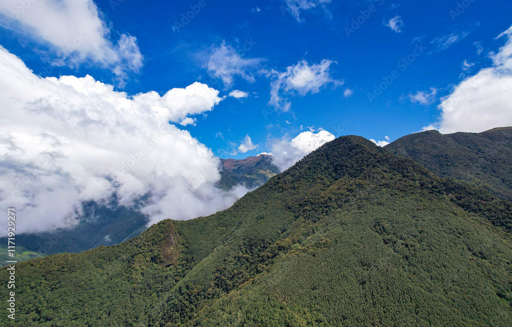 Green Mountains Surrounded by Crops on a Slightly Cloudy Day in Salento, Quindío, Colombia