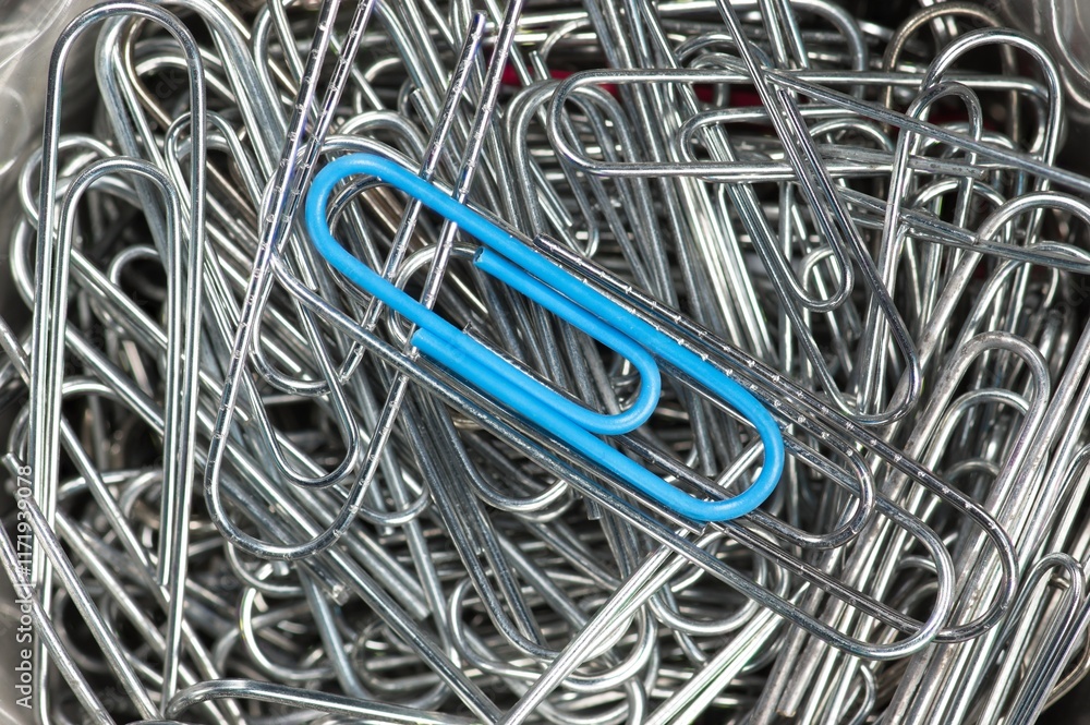 Single Blue paper clip in a pile of chrome ones Single Blue paper clip in a pile of chrome ones