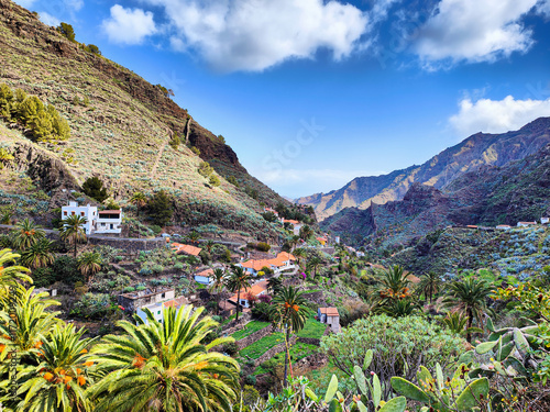 Tropical mountain village of La Laja. Green valley, palm trees, opuntia and blue sky. La Gomera, Canary Islands, Spain photo