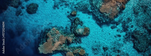 A serene aerial perspective of the Great Barrier Reef, Australia, showcasing its vibrant coral formations and turquoise waters