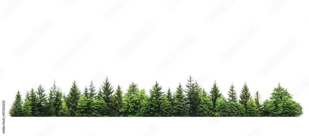 Fototapeta premium variety of green trees are isolated on transparency background, showcasing different shapes and sizes, ideal for nature themed designs or projects