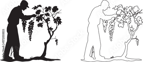 Silhouette of a farmer pruning grapevines vector silhouette