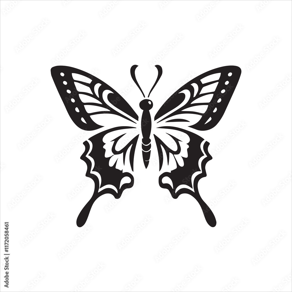 butterfly on white background butterfly on white background
