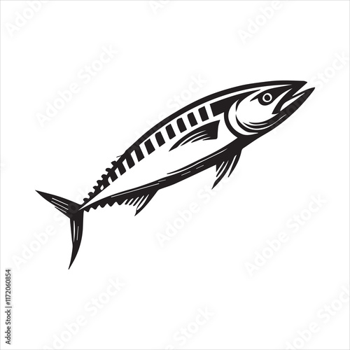 fish on a white background