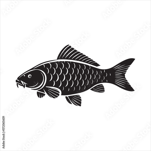 fish isolated on white background